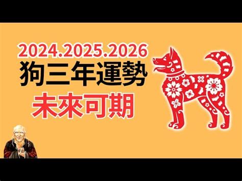 屬狗女1982|1982年屬狗是什麼命，1982年出生人的命運